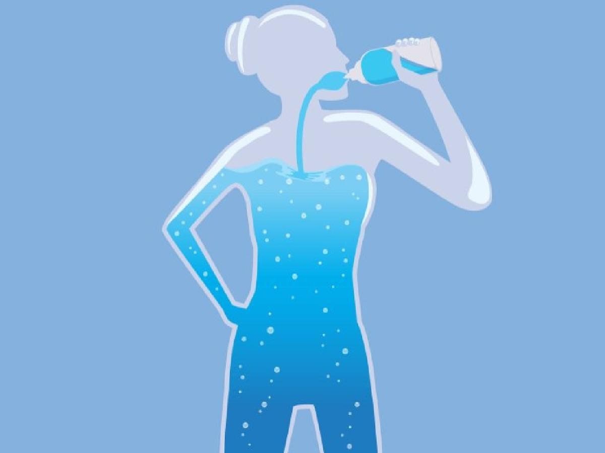 Thận có chức năng điều hòa lượng nước trong cơ thể