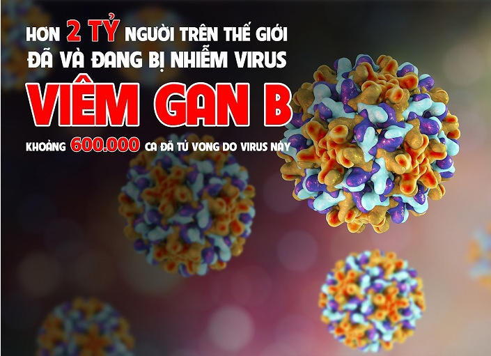 Ở Việt Nam hiện nay số người nhiễm virus viêm gan B chiếm khoảng 20% dân số.